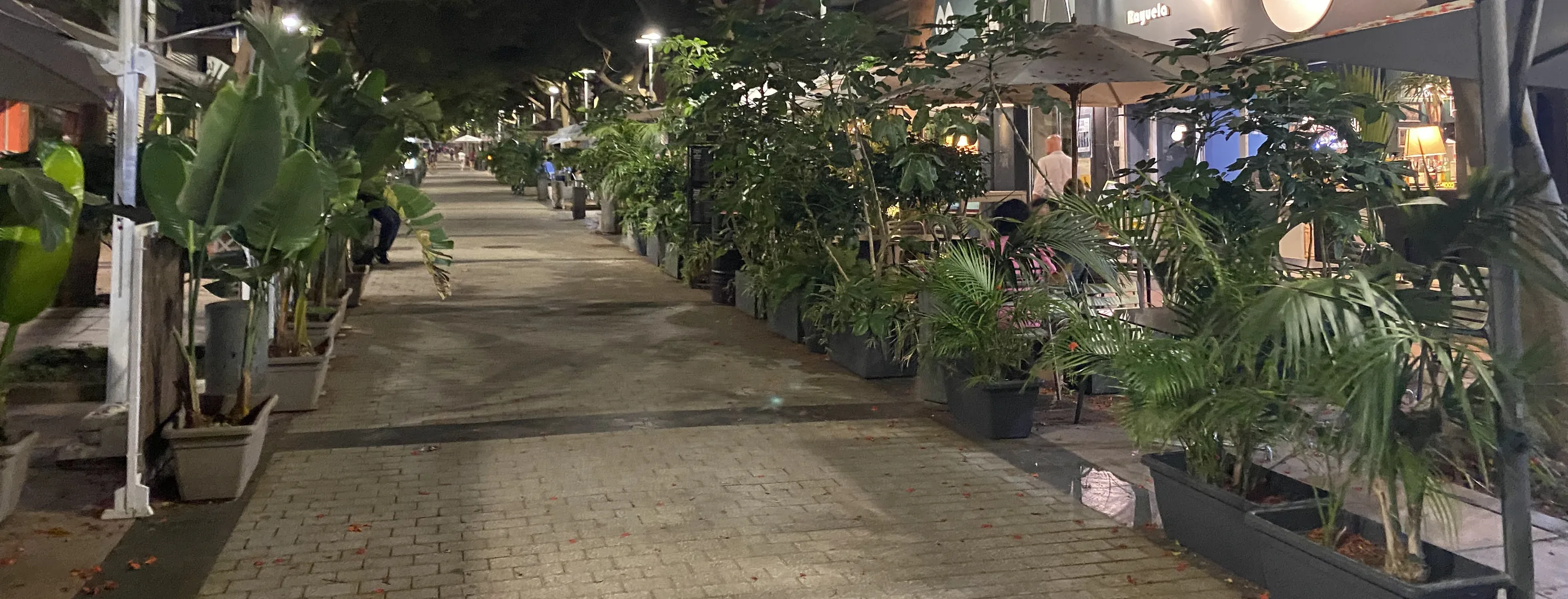 Calle peatonal de Santa Cruz de Tenerife de noche, con terrazas y plantas